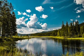 Schwedische Landschaft mit See und Wald und blauem Himmel