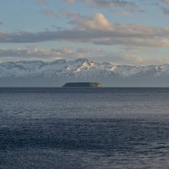 Lundey - Nord-Island
