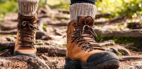 Ein Mensch in Wanderschuhen und Wollsocke läuft über einen verwurzelten Boden. 