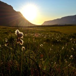 Önundarfjörður - Westfjorde