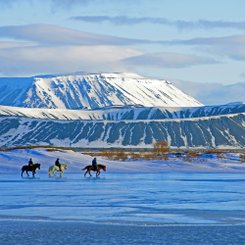 Drei Reiter auf jeweils einem schwaryen, weißen und braunen Islandpferd reiten über den zugefrorenen Myvatn-See. Im Hintergrund sieht man den Krater Hverfjall