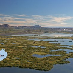 Mückensee - Mývatn-Region