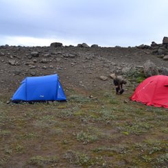 Karger Zeltplatz am Dettifoss