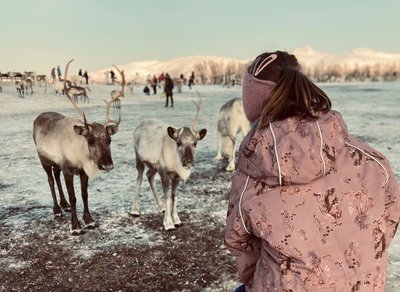 Rentiere füttern ist für Kinder besonders schön