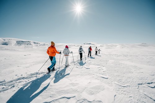 Wandergruppe auf Schneeschuhen in Winterlandschaft