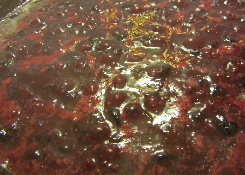 Nordische Sommerrezepte - Lachs mit Blaubeersoße