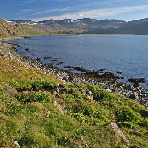 Hornvík - Westfjorde