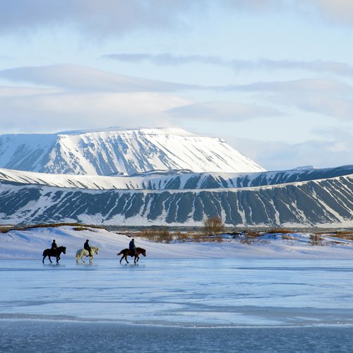 Ausritt am Hverfjall - Mývatn-Region