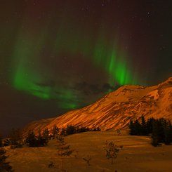 Nordlicht - Island