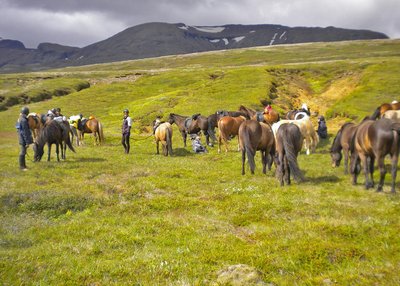 Hellisheiði - Südwest-Island
