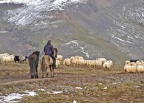 Skagafjörður - Nord-Island
