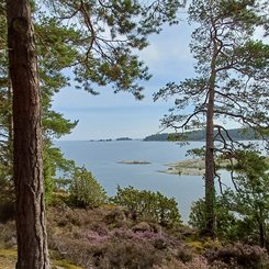 Blick auf den Schärengarten in Västergötland