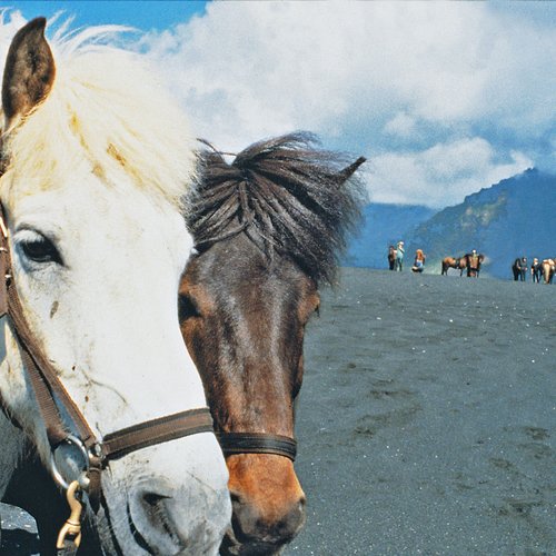 Sprengisandur