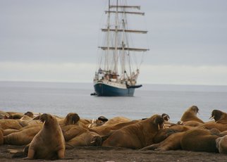 Spitzbergen Reisen • Svalbard intensiv erleben 