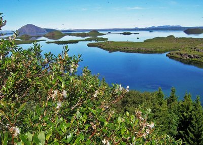 Mývatn - Mývatn-Region