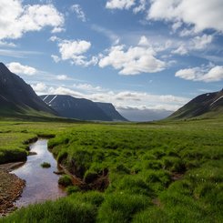 Westfjorde - Island