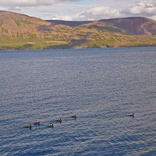 Siglufjörður - Nordost-Island