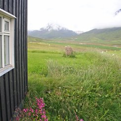 Skeið - Nord-Island