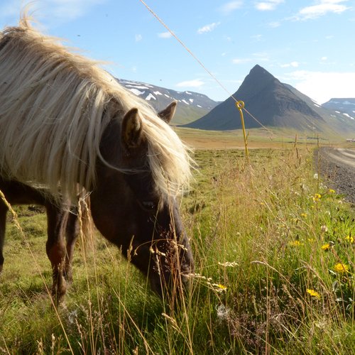 Önundarfjorður - Westfjorde