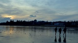 Tjörnin - Reykjavík Tjörnin - Reykjavík