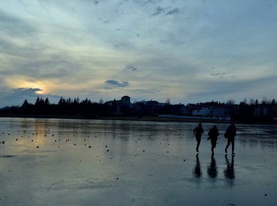 Tjörnin - Reykjavík Tjörnin - Reykjavík