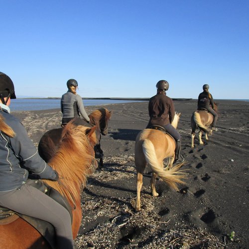 Ausritt Strand - Island