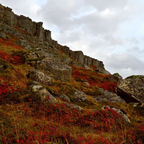 Herbstfarben - Island