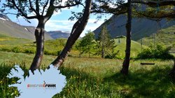 Bjarnadal - Westfjorde Bjarnadal - Westfjorde