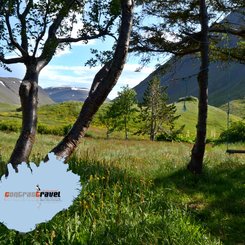 Bjarnadal - Westfjorde