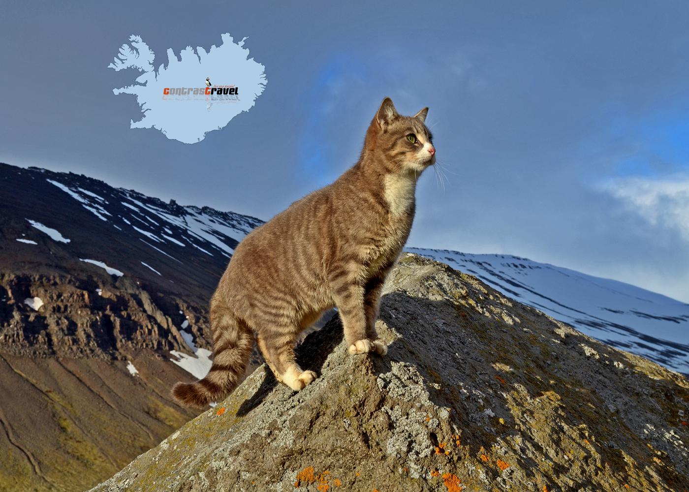 Kísa - Westfjorde Kísa - Westfjorde