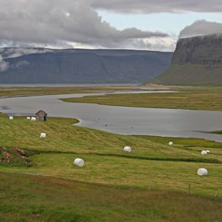 Patreksfjörður - Westfjorde