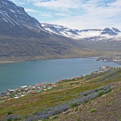 Eskifjörður - Ost-Island