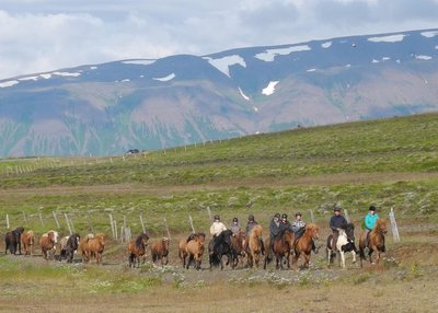 Kolbeinsdalur - Nord-Island