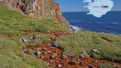 Langanes - Nordost-Island Langanes - Nordost-Island