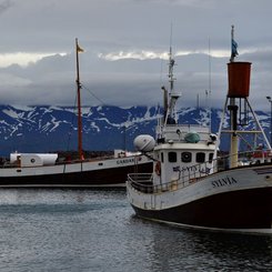 Húsavik - Myvatn-Region