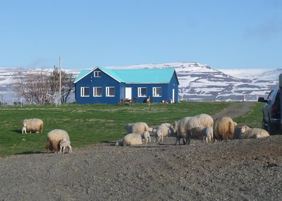 Geirastaðir - Ost-Island