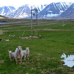 Önundarfjorður - Westfjorde