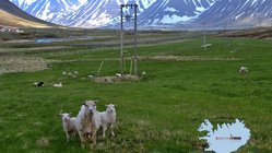 Önundarfjorður - Westfjorde