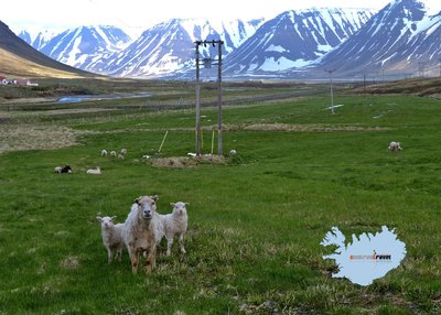 Önundarfjorður - Westfjorde