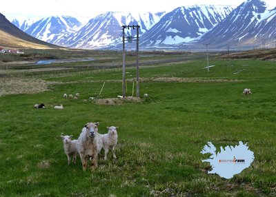 Önundarfjorður - Westfjorde Önundarfjorður - Westfjorde