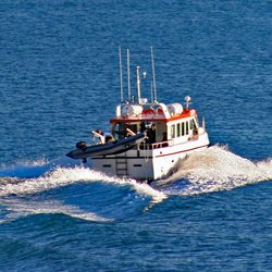 Fähren für außergewöhnliche Islandreisen - Fährboot auf dem Weg nach Hornstrandir