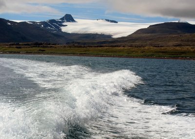 Hornstrandir - Westfjorde