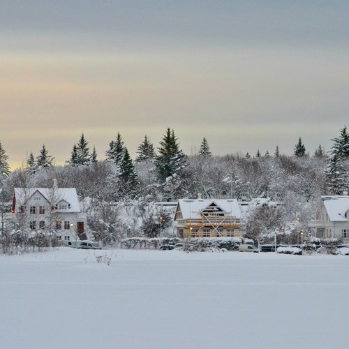 Tjörnin - Reykjavik