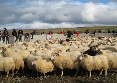 Brekkulækur - Nordwest-Island