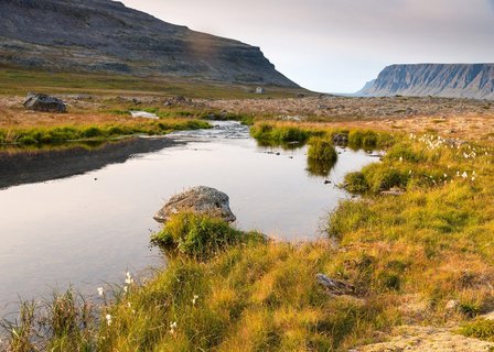 Fjordwelt - Westfjorde