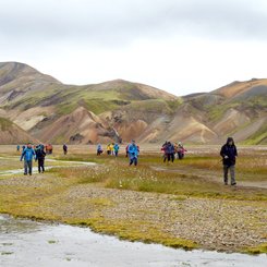 Landmannalaugar - Südliches Hochland