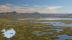 Mückensee - Mývatn-Region Mückensee - Mývatn-Region