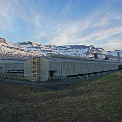 Alcoa - Ost-Island