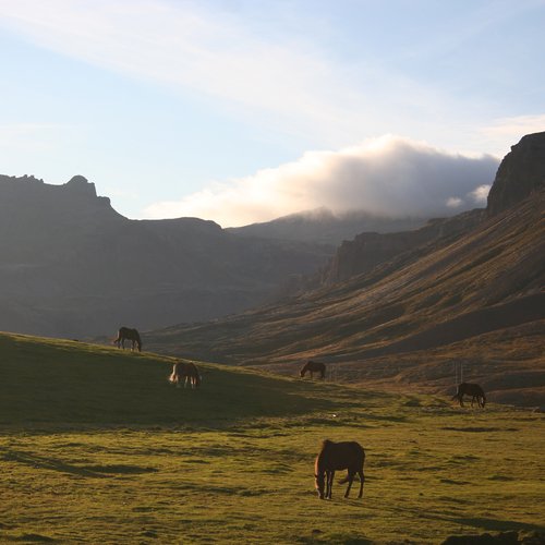 Lysuholl - Snaefellsnes - West-Island