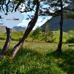 Kirkjuból - Westfjords